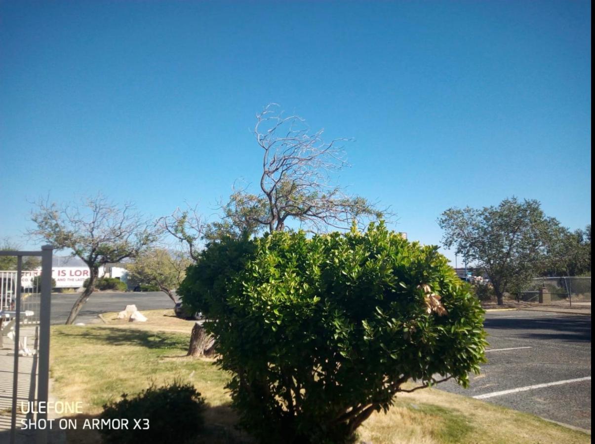 Willcox Extended Inn And Suites エクステリア 写真